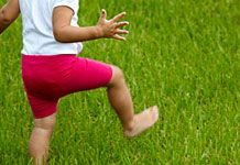 5 Spring Lawn Care Tips