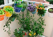 Green Living Solutions for Small Budgets