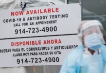 What You Should Know About Antibody Testing