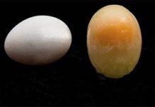 Can you freeze eggs to keep them longer?