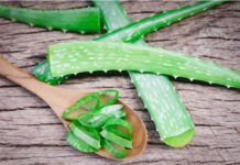 10 Aloe Vera Hair Masks for a Gorgeous Mane